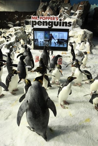 Постер - Пингвины мистера Поппера: 400x593 / 83.41 Кб