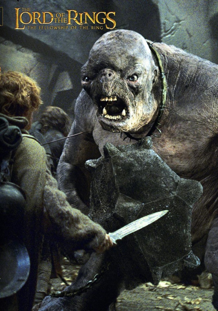 Постер - Властелин колец: Братство Кольца: 750x1072 / 299.32 Кб