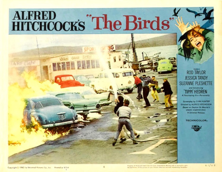 Постер - Птицы: 750x582 / 146.67 Кб