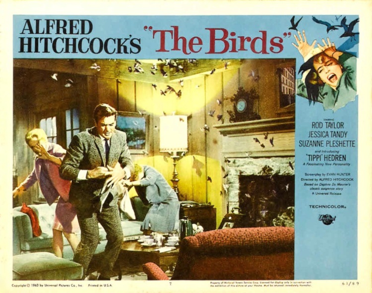 Постер - Птицы: 750x591 / 158.69 Кб