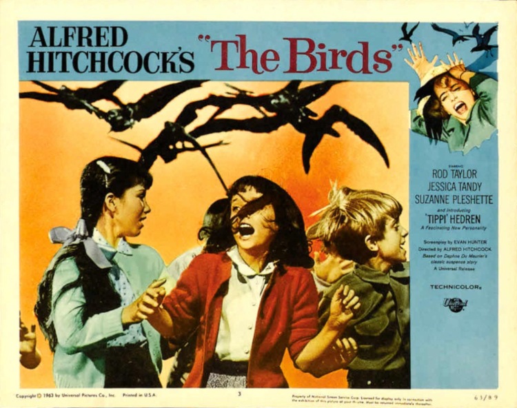 Постер - Птицы: 750x592 / 146.28 Кб