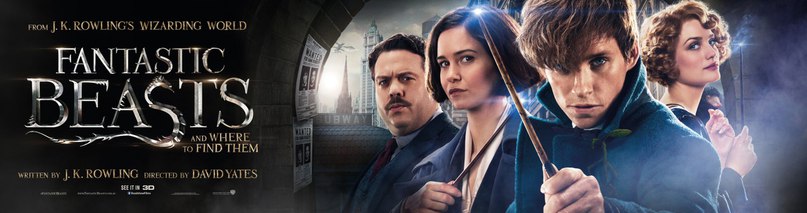 Постер - Фантастические твари и где они обитают: 807x213 / 48.15 Кб