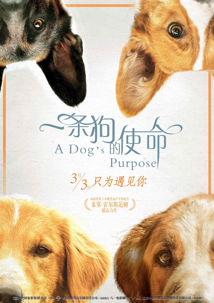 Постер - Собачья жизнь: 750x1061 / 309.27 Кб