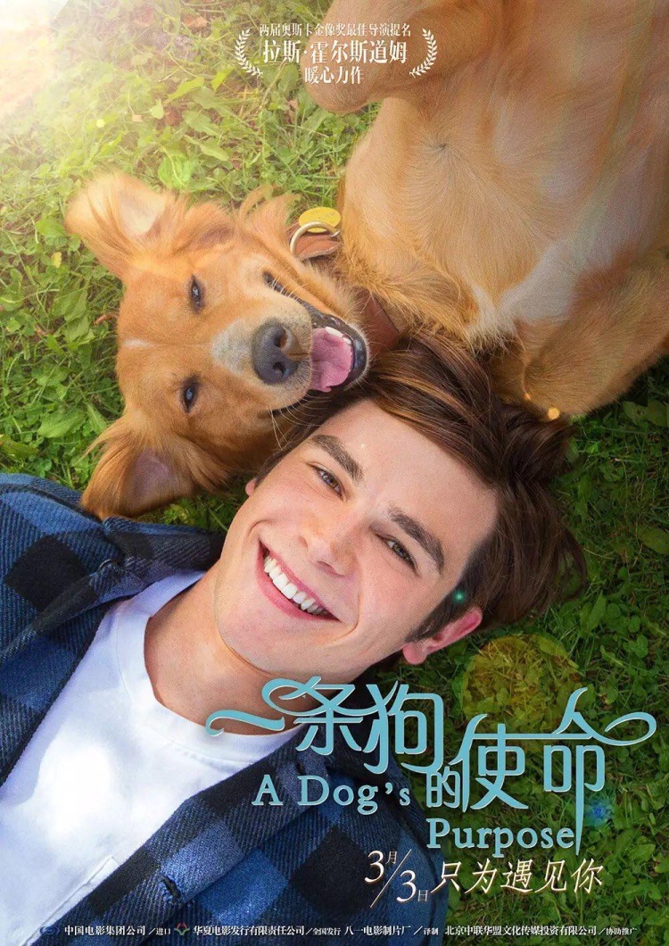 Постер - Собачья жизнь: 750x1060 / 340.62 Кб