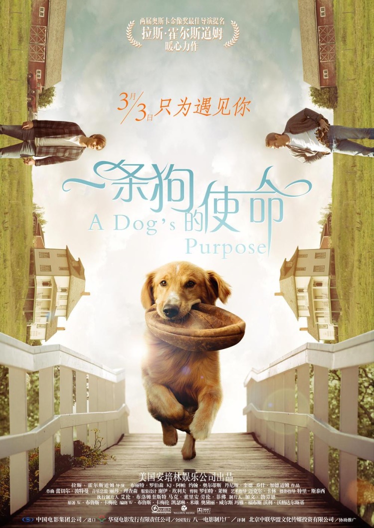 Постер - Собачья жизнь: 750x1060 / 226.37 Кб