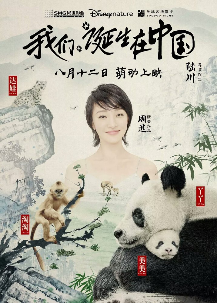 Постер - Рожденный в Китае: 716x1000 / 184.48 Кб