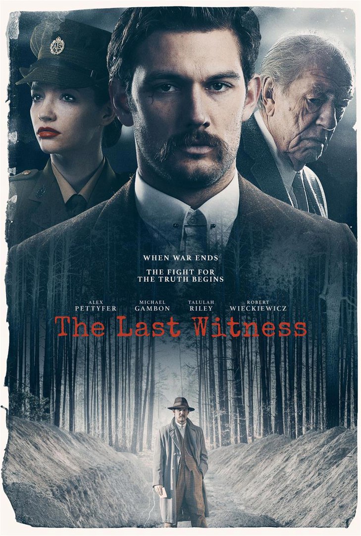 Постер - The Last Witness: 729x1080 / 227.18 Кб