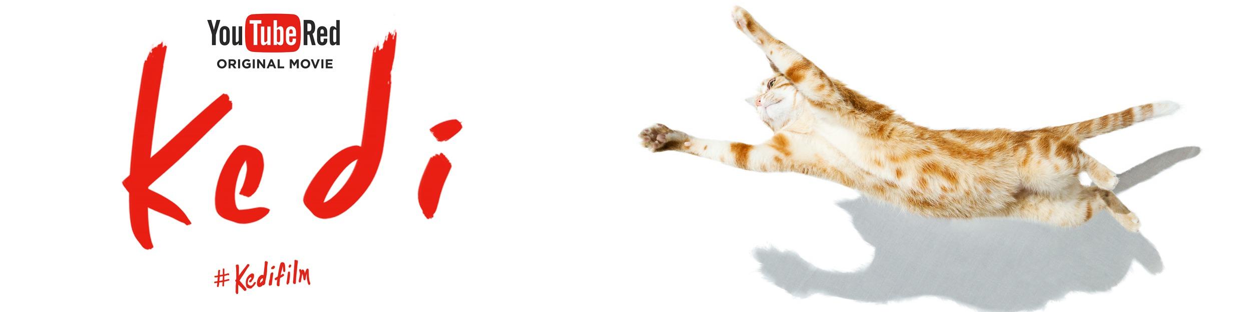 Постер - Город кошек: 2500x625 / 74.88 Кб