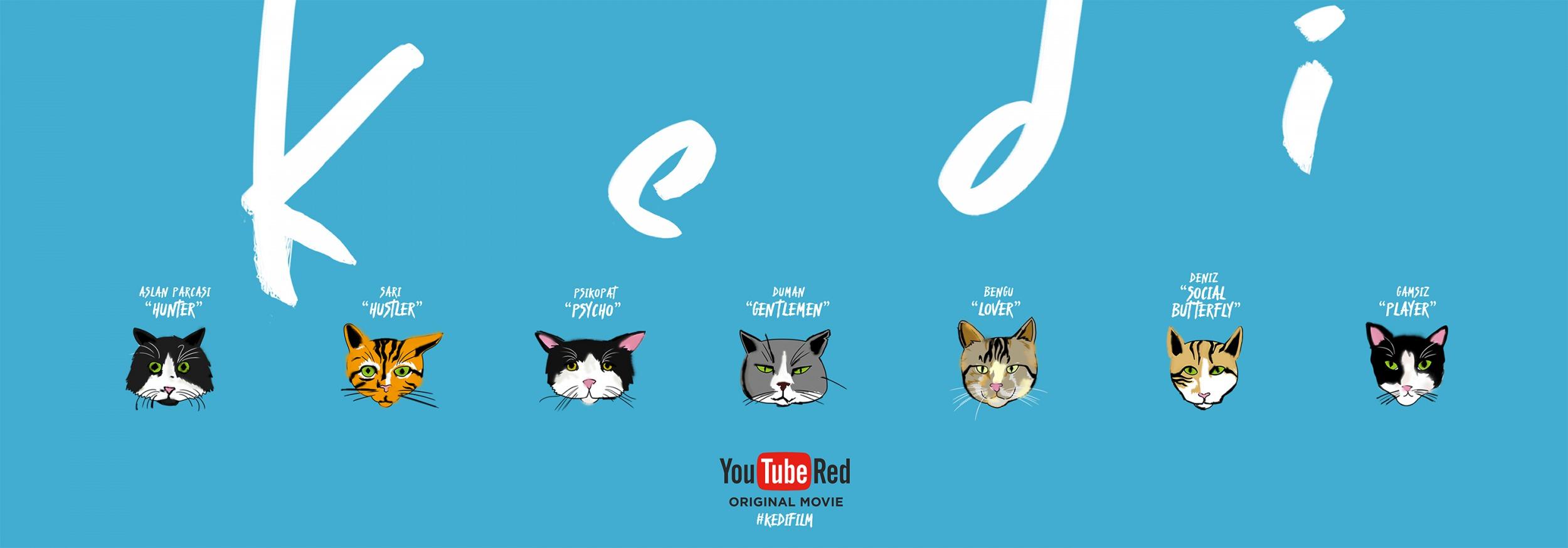 Постер - Город кошек: 2500x875 / 82.28 Кб