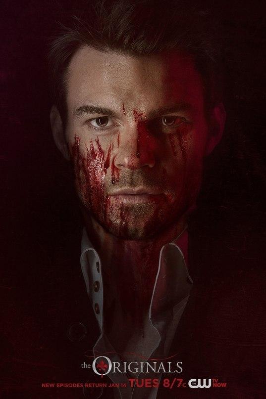 Постер - Первородные: 537x807 / 39.15 Кб