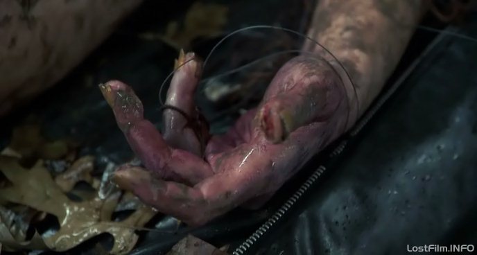 Кадр - Молчание ягнят: 688x368 / 29Кб