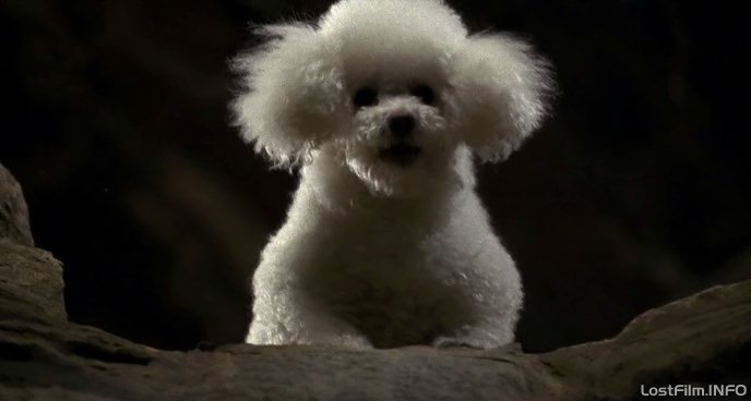 Кадр - Молчание ягнят: 688x368 / 26Кб