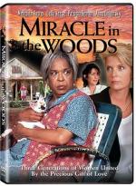 Miracle in the Woods