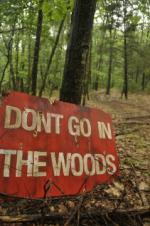 Don't Go in the Woods