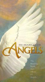 In Search of Angels