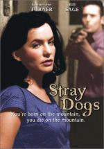 Stray Dogs