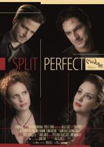 Split Perfect