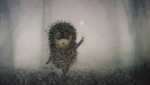 Фото Ёжик в тумане