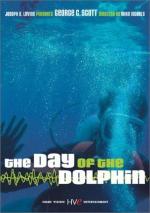 День дельфина: 336x475 / 44 Кб