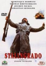 Фото Stalingrad