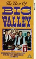 "The Big Valley": 297x475 / 46 Кб