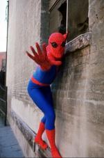 "The Amazing Spider-Man": 298x450 / 29 Кб