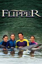 Фото "Flipper"