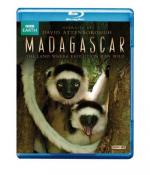 Фото Madagascar