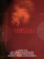 Red Sheep: 432x576 / 23 Кб