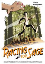 Racing for Sage: 498x700 / 102 Кб
