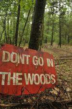 Don't Go in the Woods: 1360x2048 / 538 Кб