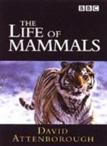 BBC: Жизнь млекопитающих: 349x475 / 30 Кб