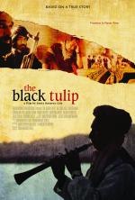 Фото The Black Tulip