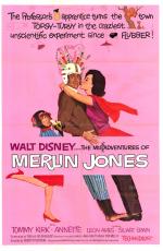 Постер The Misadventures of Merlin Jones: 816x1249 / 145 Кб