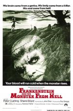Постер Франкенштейн и монстр из ада: 986x1500 / 324 Кб