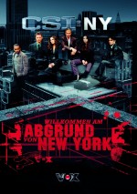 Постер CSI: Место преступления Нью-Йорк : 1754x2481 / 536.08 Кб