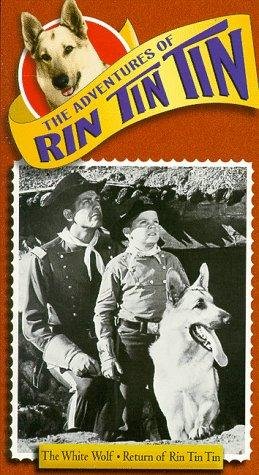 Фото - "The Adventures of Rin Tin Tin": 259x475 / 54 Кб