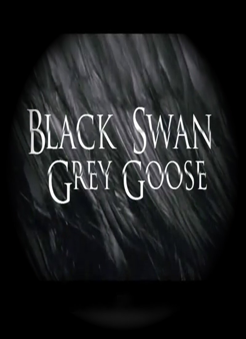 Фото - Black Swan, Grey Goose: 800x1100 / 66 Кб