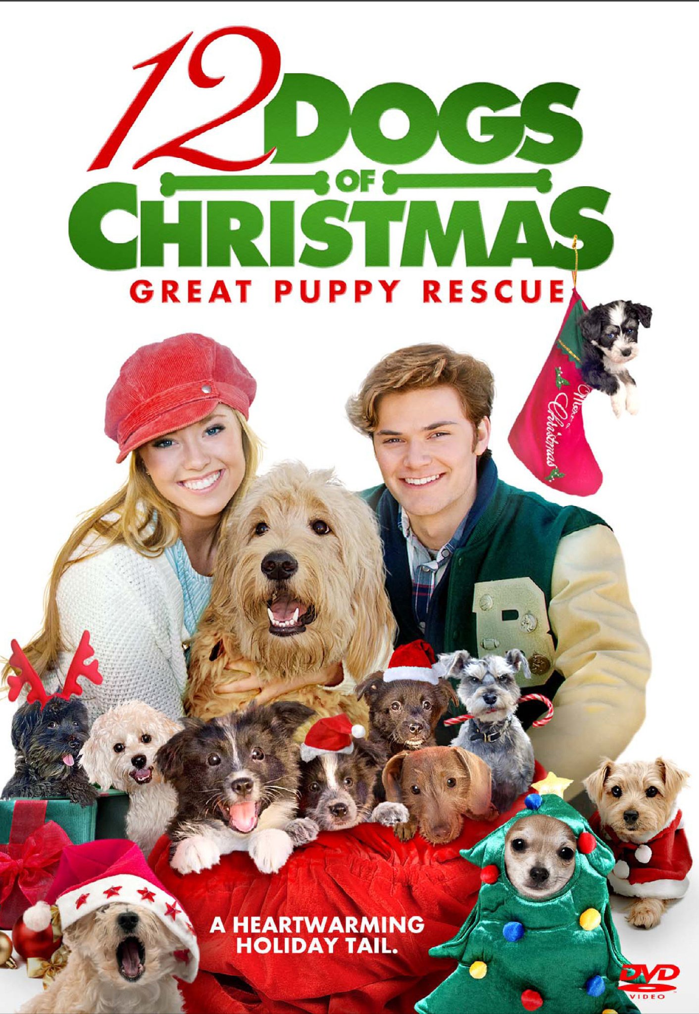 Фото - 12 Dogs of Christmas: Great Puppy Rescue: 1412x2048 / 475 Кб